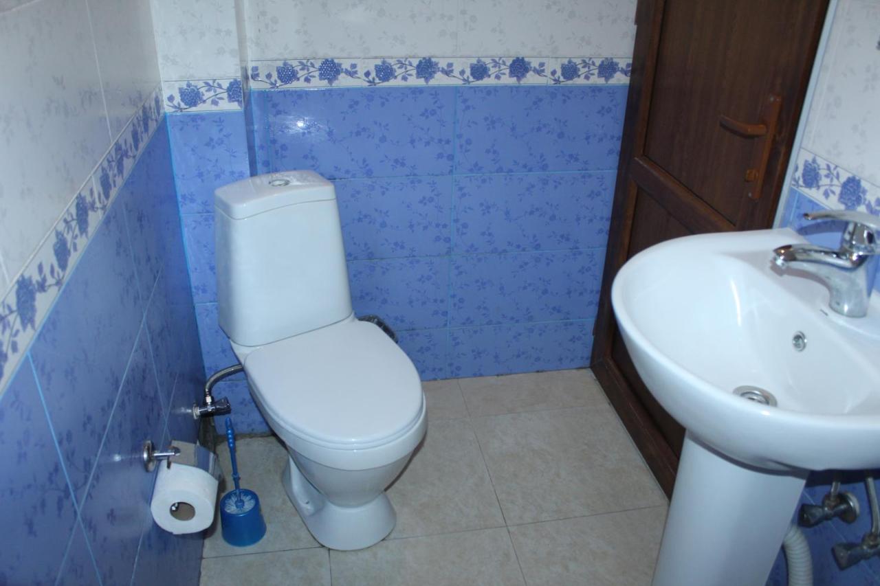 Roza Guesthouse Kazbegi Bagian luar foto