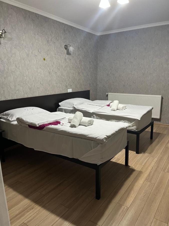 Roza Guesthouse Kazbegi Bagian luar foto
