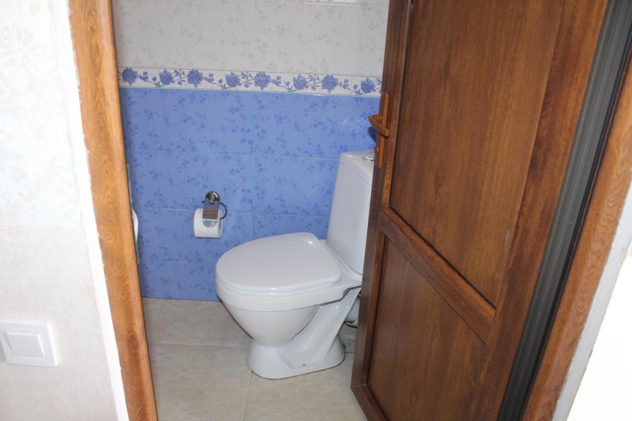 Roza Guesthouse Kazbegi Bagian luar foto